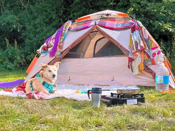 Tents small and large welcome