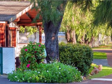 Landscaped grounds