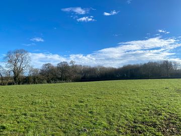 The meadow