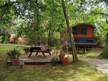 Private garden shaded by trees