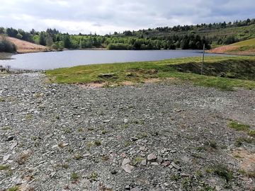 Our camper van pitch located just a stones through from our lake, swim and paddle to your hearts