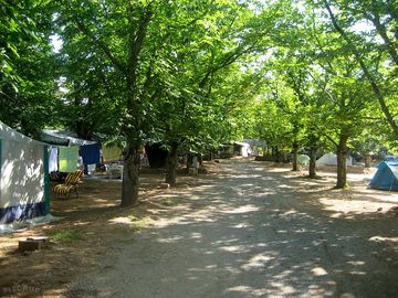 Shaded pitches