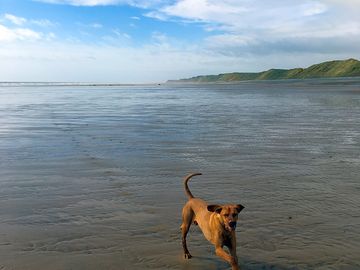 Dog friendly beach at silecroft 5 min drive (added by manager 29 mar 2022)