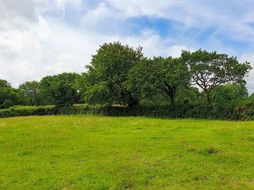 Trees alongside the pitches (added by manager 08 jul 2021)