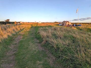 Peaceful meadow camping in secluded individual pitches