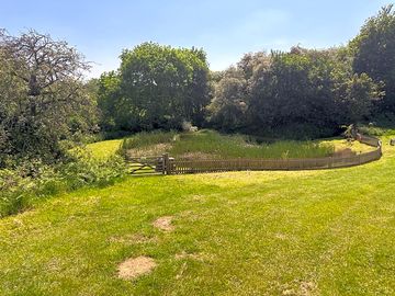 Peaceful pond