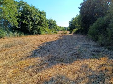 Spacious pitches