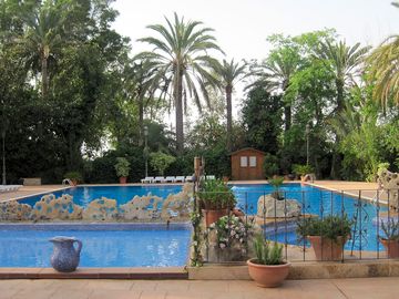 Pool surrounded by palm trees (added by manager 20 mar 2014)