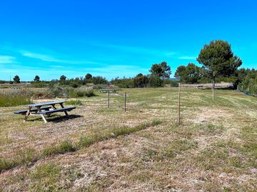 Grass pitches and picnic table