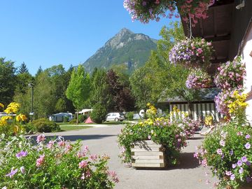 Lovely views around the site