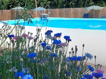 The outdoor pool