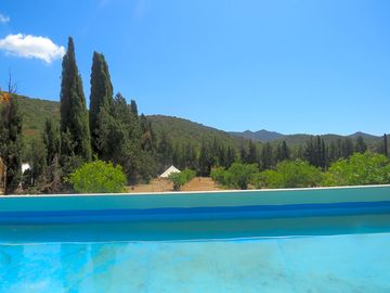 Swimming pool in nature