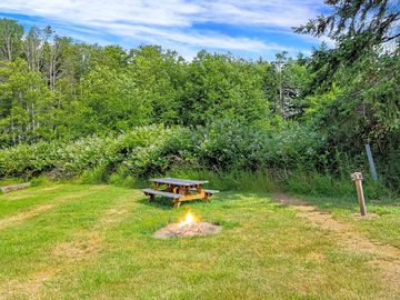 Firepits dotted around campground (added by manager 28 oct 2019)