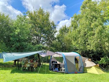 Pitch under the trees.
