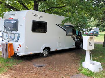 A pitch under the tree
