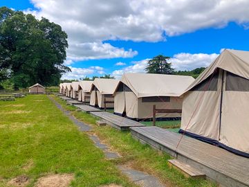 Safari tents