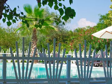 The swimming pool