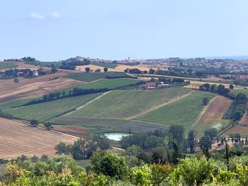 View of the farm from the opposite hill