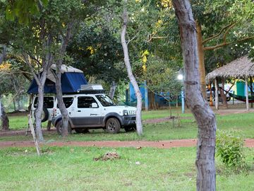 Pitches among the trees