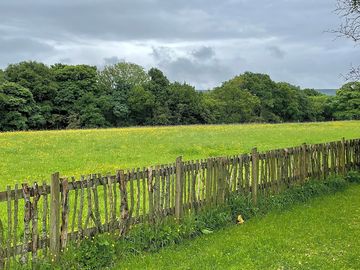View of the fields