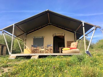 Safari tent exterior