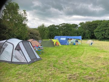 Paddock camping