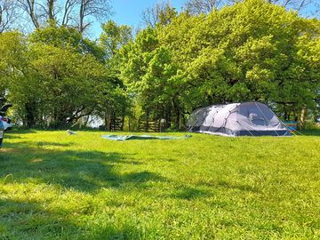 Good grass pitches next to the small woodland play area.