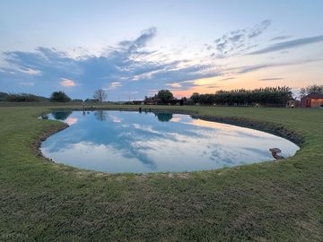 Lake view