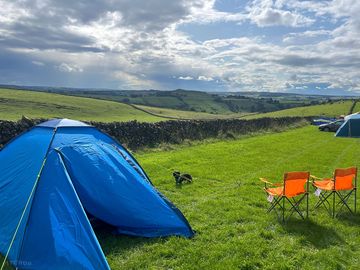 Our pitch