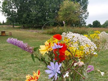 Pitches with flowers