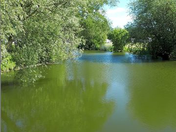 View over the lake (added by manager 26 jun 2021)