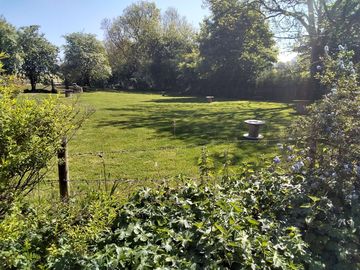 Early summer sunshine