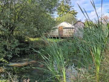 A view of the yurt