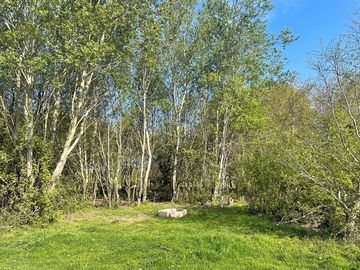 Woodland pitch with fire pit - logs are available for your stay from our on-site tree surgeon