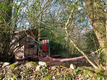 Hammock bath house gypsy