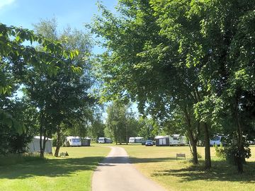 Summertime at the site