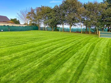 Grass is well kept