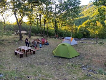 Campers / guests