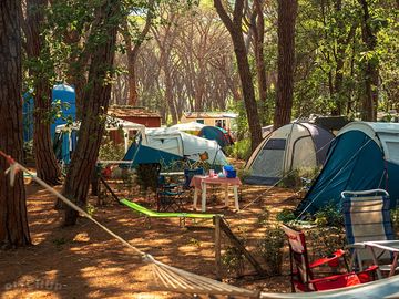 Tent pitch
