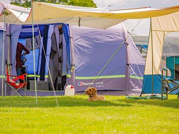 Tents pitched on site