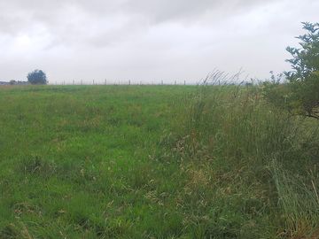 Photo of the site from a different angle