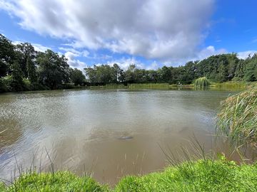 Pond at site (added by visitor 23 jul 2023)