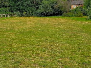 Grass pitches