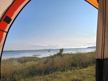 Room with a view