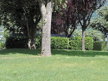 Sunny and shaded spots