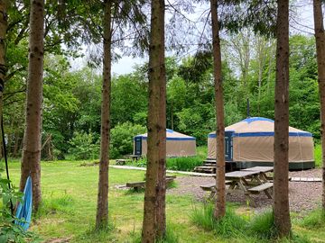 Yurt area