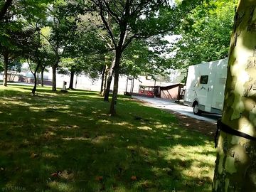 Plenty of shade on pitches