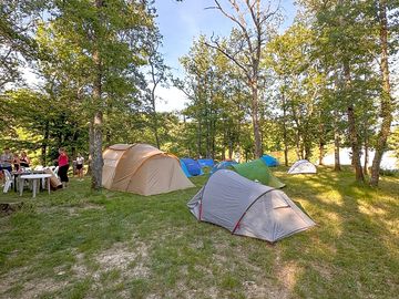 Tree-shaded tent pitches