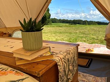 View from the bell tent