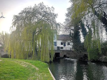 Local loddon area.